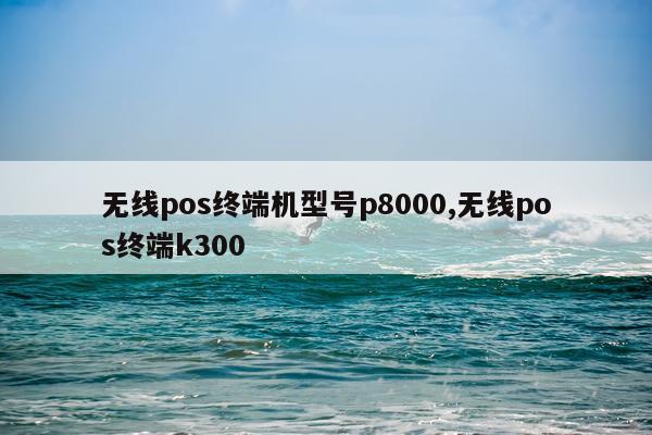 无线pos终端机型号p8000,无线pos终端k300