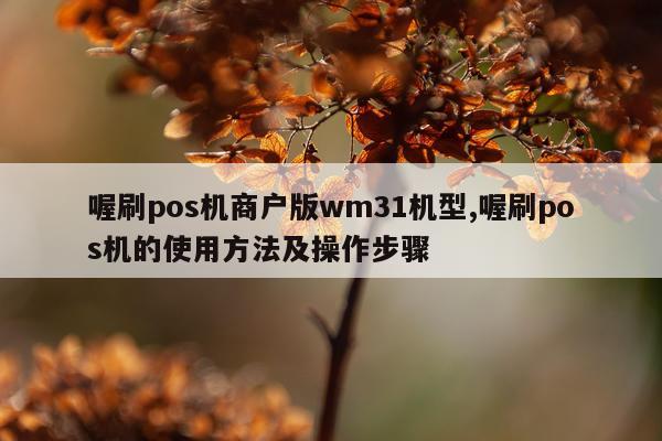 喔刷pos机商户版wm31机型,喔刷pos机的使用方法及操作步骤