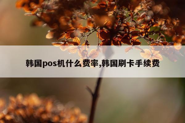 韩国pos机什么费率,韩国刷卡手续费