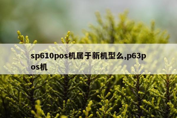 sp610pos机属于新机型么,p63pos机