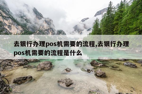 去银行办理pos机需要的流程,去银行办理pos机需要的流程是什么