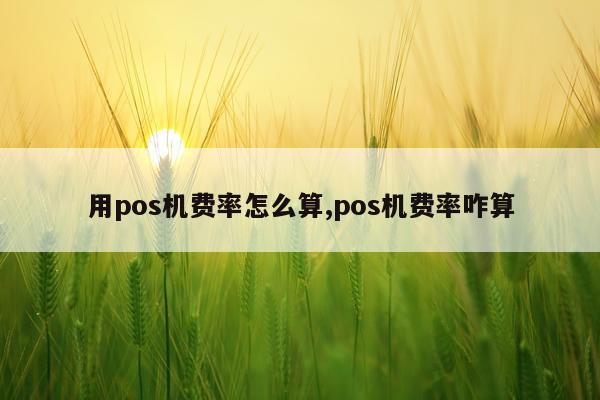 用pos机费率怎么算,pos机费率咋算