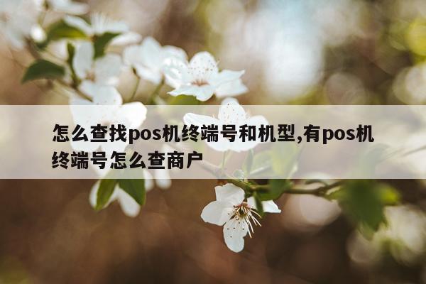 怎么查找pos机终端号和机型,有pos机终端号怎么查商户