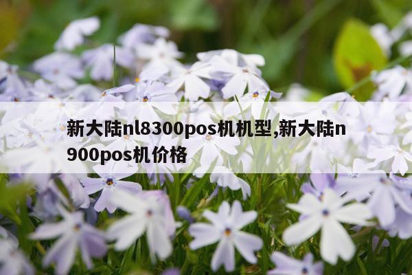 新大陆nl8300pos机机型,新大陆n900pos机价格