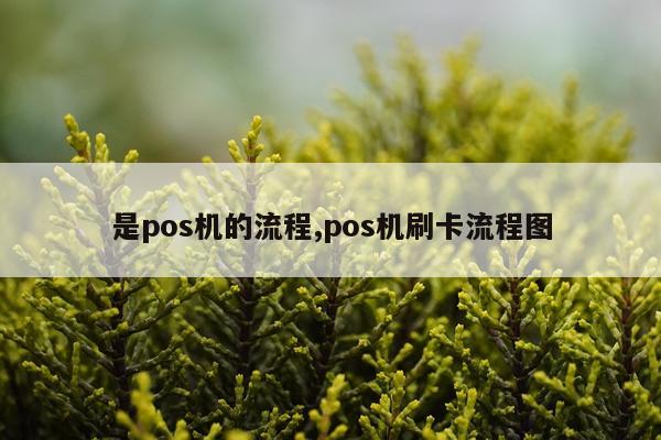 是pos机的流程,pos机刷卡流程图
