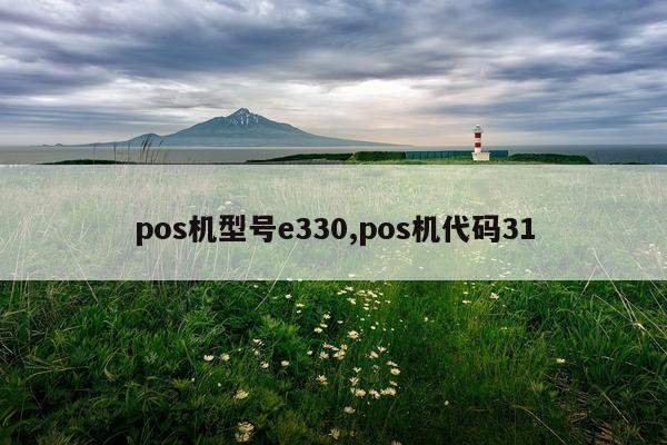 pos机型号e330,pos机代码31