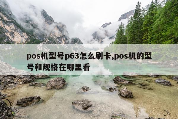 pos机型号p63怎么刷卡,pos机的型号和规格在哪里看