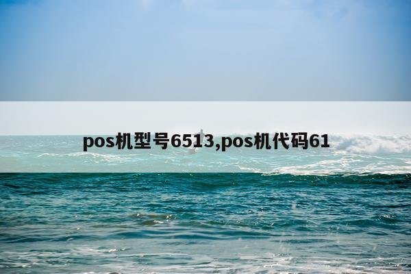 pos机型号6513,pos机代码61