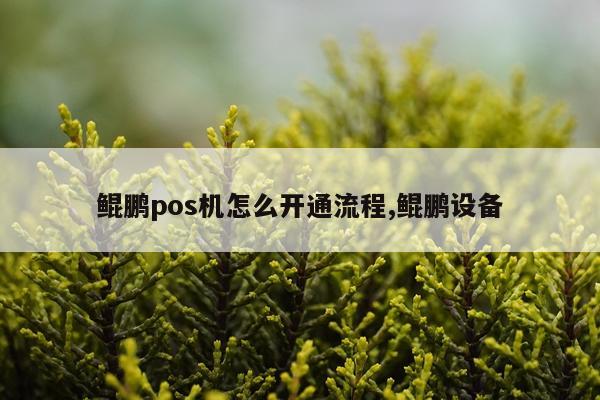 鲲鹏pos机怎么开通流程,鲲鹏设备