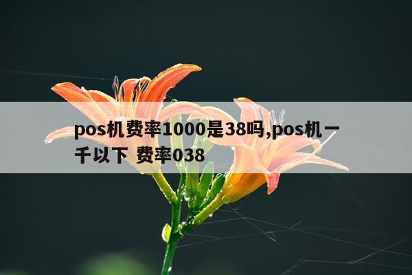 pos机费率1000是38吗,pos机一千以下 费率038