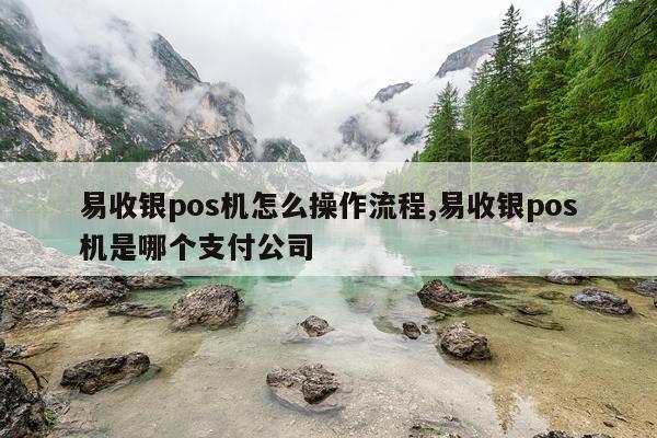 易收银pos机怎么操作流程,易收银pos机是哪个支付公司