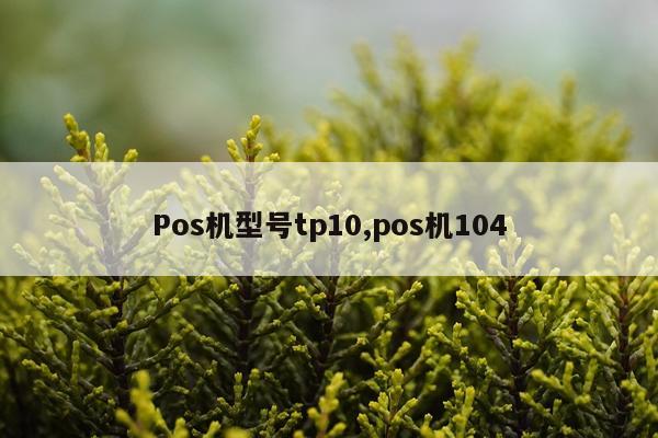 Pos机型号tp10,pos机104