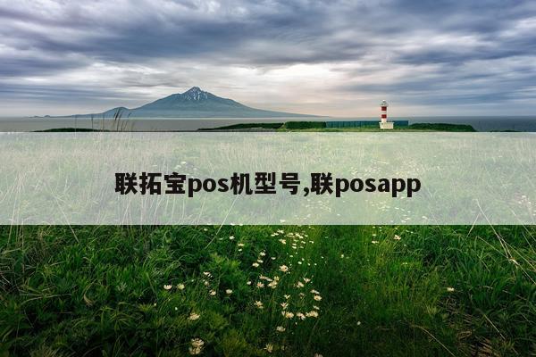 联拓宝pos机型号,联posapp