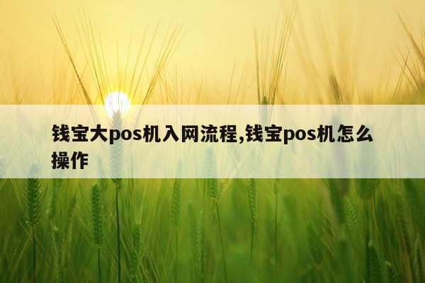 钱宝大pos机入网流程,钱宝pos机怎么操作