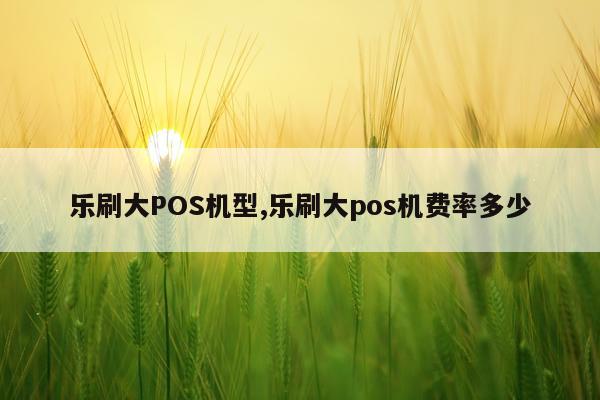 乐刷大POS机型,乐刷大pos机费率多少