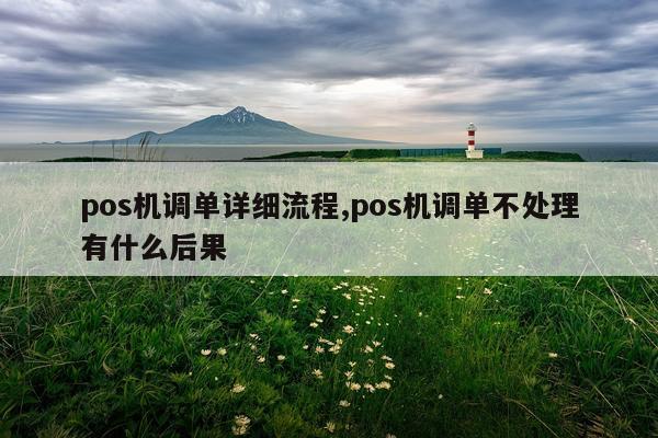 pos机调单详细流程,pos机调单不处理有什么后果