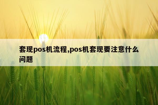 套现pos机流程,pos机套现要注意什么问题