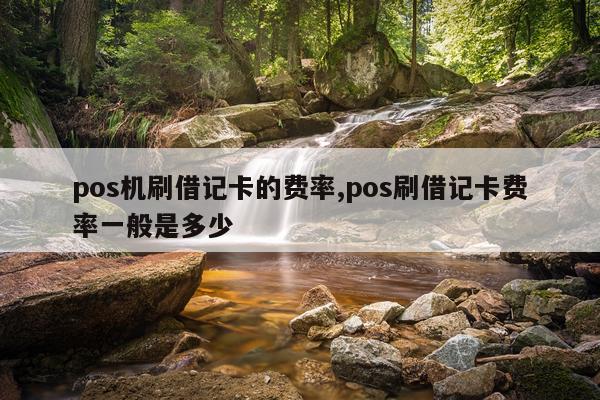 pos机刷借记卡的费率,pos刷借记卡费率一般是多少