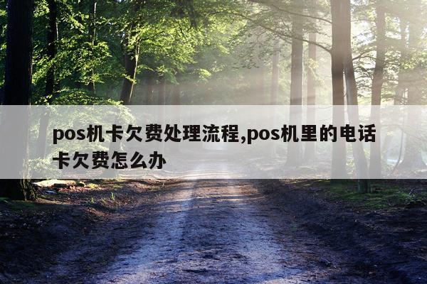 pos机卡欠费处理流程,pos机里的电话卡欠费怎么办
