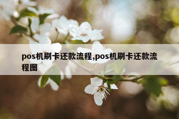 pos机刷卡还款流程,pos机刷卡还款流程图