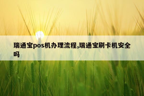 瑞通宝pos机办理流程,瑞通宝刷卡机安全吗