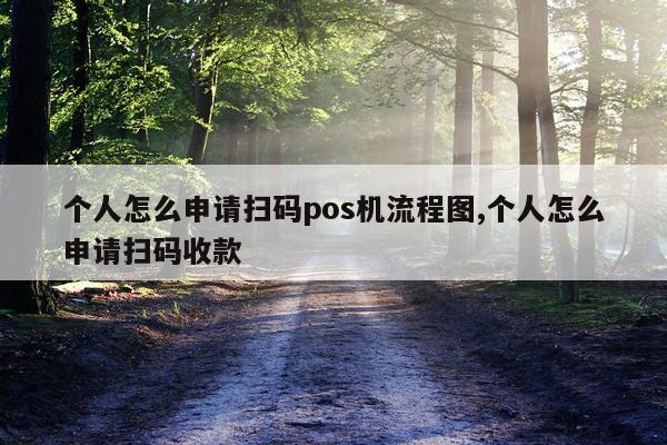 个人怎么申请扫码pos机流程图,个人怎么申请扫码收款