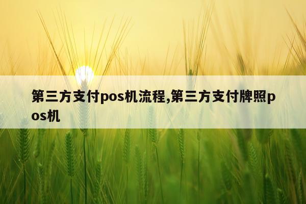 第三方支付pos机流程,第三方支付牌照pos机