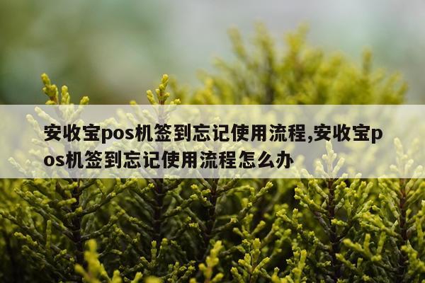 安收宝pos机签到忘记使用流程,安收宝pos机签到忘记使用流程怎么办