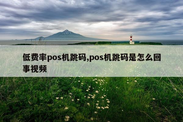 低费率pos机跳码,pos机跳码是怎么回事视频