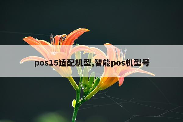 pos15适配机型,智能pos机型号