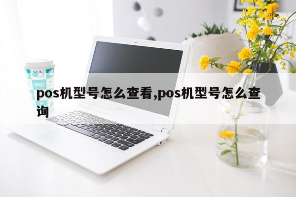 pos机型号怎么查看,pos机型号怎么查询