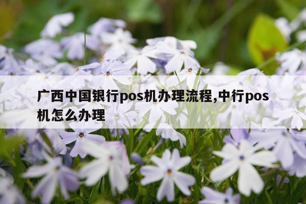 广西中国银行pos机办理流程,中行pos机怎么办理