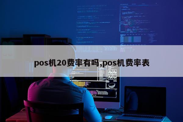 pos机20费率有吗,pos机费率表