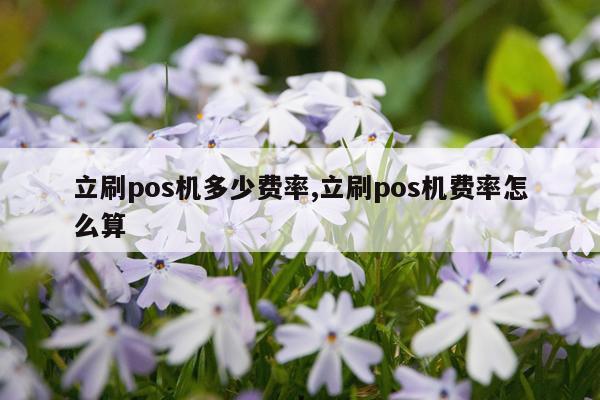 立刷pos机多少费率,立刷pos机费率怎么算