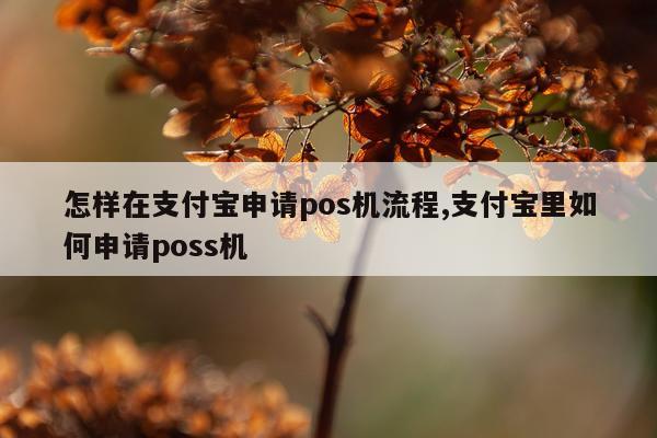 怎样在支付宝申请pos机流程,支付宝里如何申请poss机
