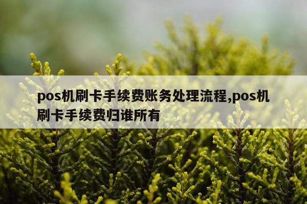 pos机刷卡手续费账务处理流程,pos机刷卡手续费归谁所有