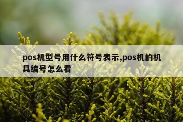 pos机型号用什么符号表示,pos机的机具编号怎么看