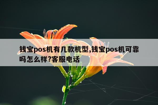 钱宝pos机有几款机型,钱宝pos机可靠吗怎么样?客服电话