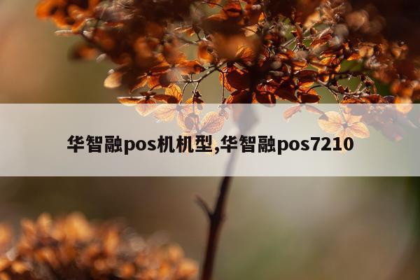 华智融pos机机型,华智融pos7210