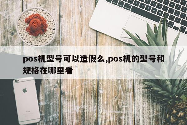 pos机型号可以造假么,pos机的型号和规格在哪里看