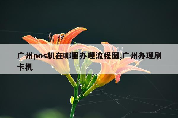 广州pos机在哪里办理流程图,广州办理刷卡机