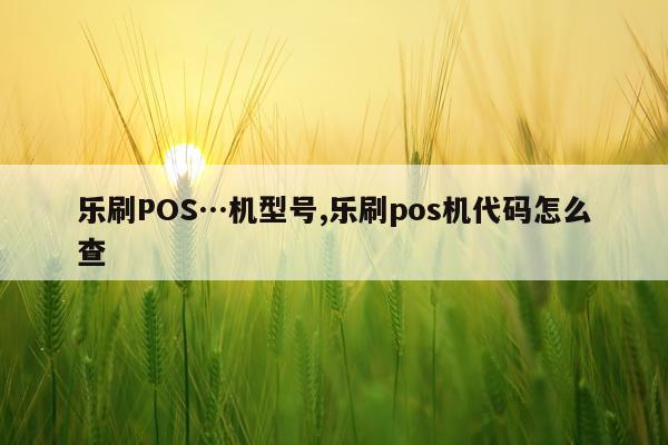 乐刷POS…机型号,乐刷pos机代码怎么查