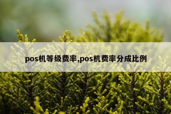 pos机等级费率,pos机费率分成比例