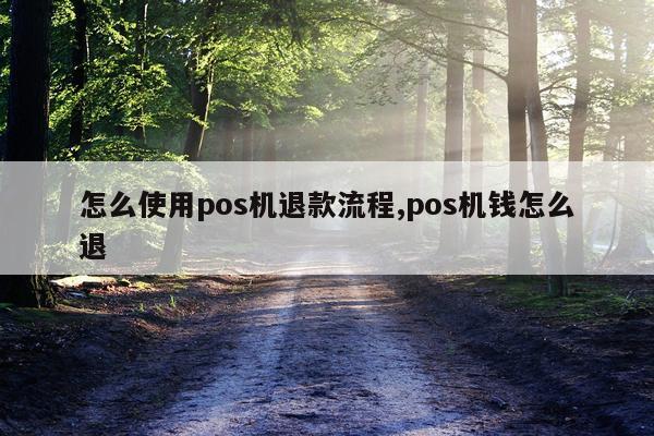 怎么使用pos机退款流程,pos机钱怎么退