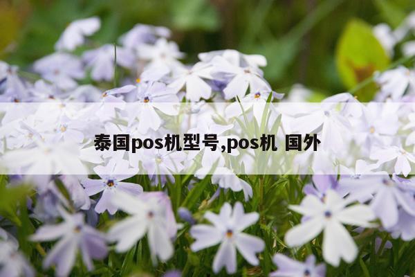 泰国pos机型号,pos机 国外
