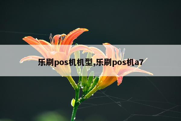 乐刷pos机机型,乐刷pos机a7