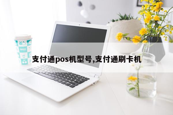 支付通pos机型号,支付通刷卡机