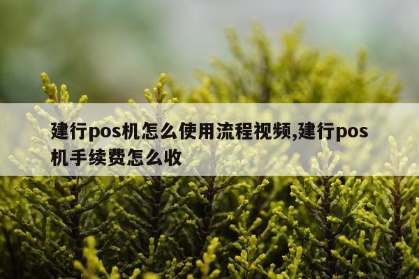 建行pos机怎么使用流程视频,建行pos机手续费怎么收