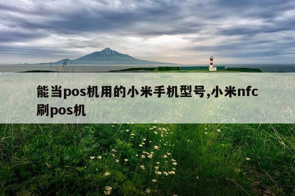 能当pos机用的小米手机型号,小米nfc刷pos机