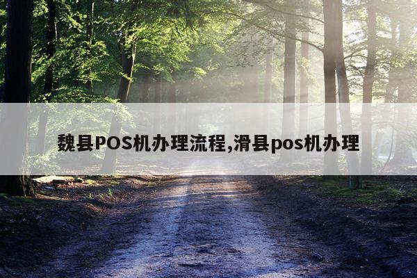 魏县POS机办理流程,滑县pos机办理
